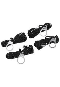 CAMPZ Scheerlijn 4m 4mm, Zwart